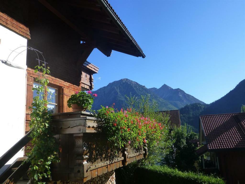 Appartement Haus Petra Und Toni Holzheu à Bad Hindelang Extérieur photo